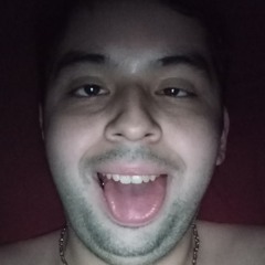 YOU ARE A MONKEY.mp3