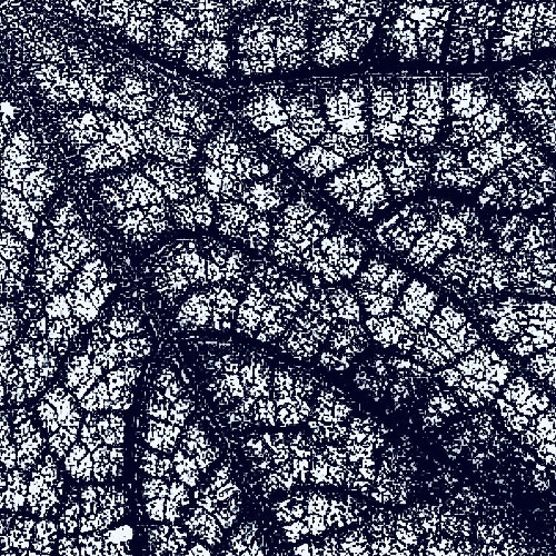 Hedström & Pflug - D2 [SOMA SELECTS Premiere]