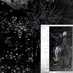 3vryth1ng 4 U (Prod Why5)
