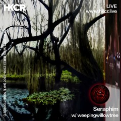 Seraphim w/ weepingwillowtree - 08/03/2023