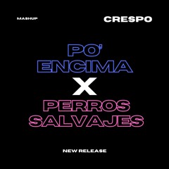 Arcangel X Daddy Yankee - PO' ENCIMA X PERROS SALVAJES (Crespo Mashup) [Copyright Filter]