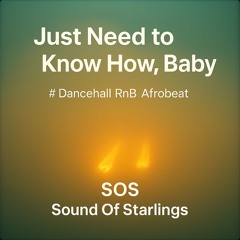 Just Need to Know How, Baby   #Dancehall Afro-RnB Soul