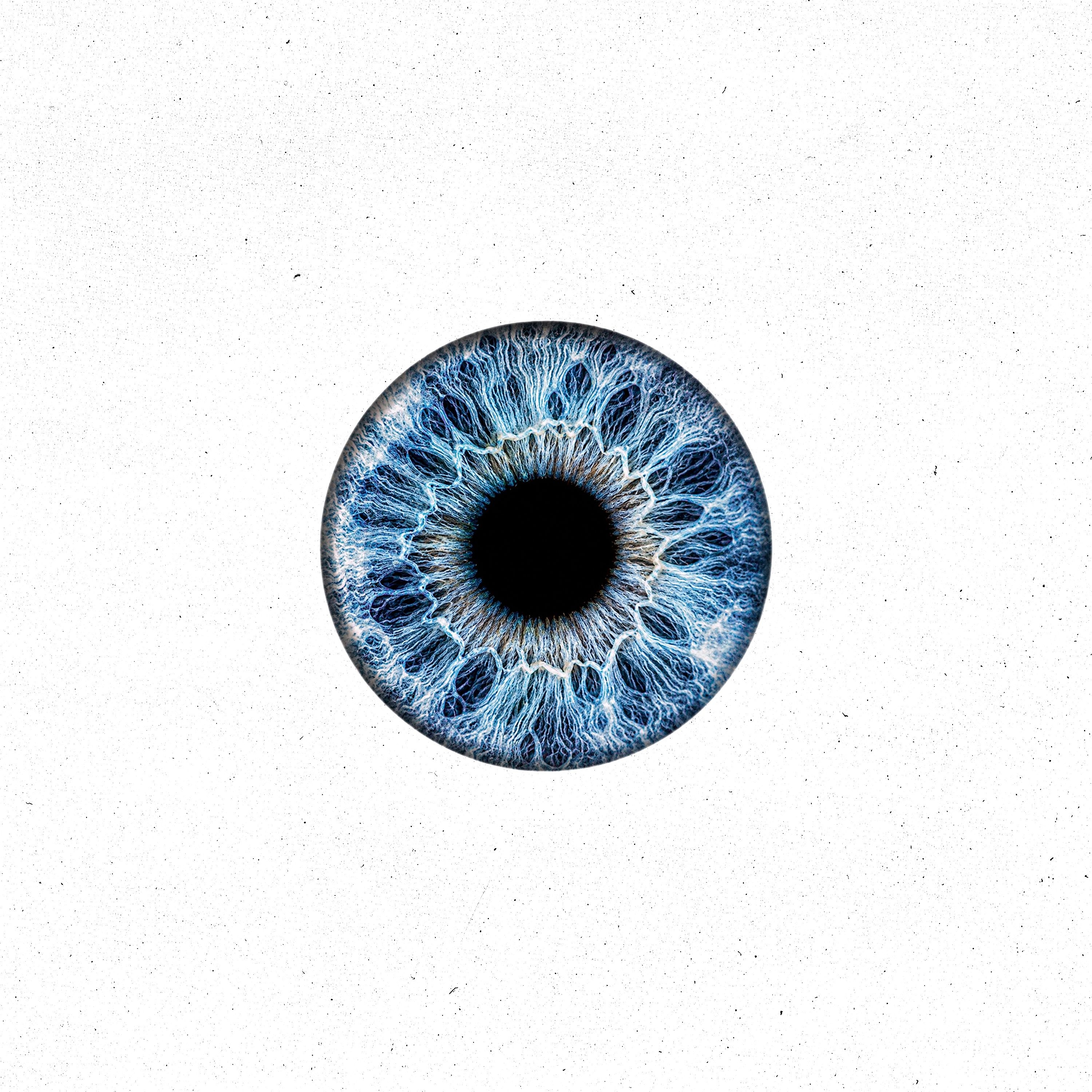 WE ARE ONE - "Seen" episode artwork