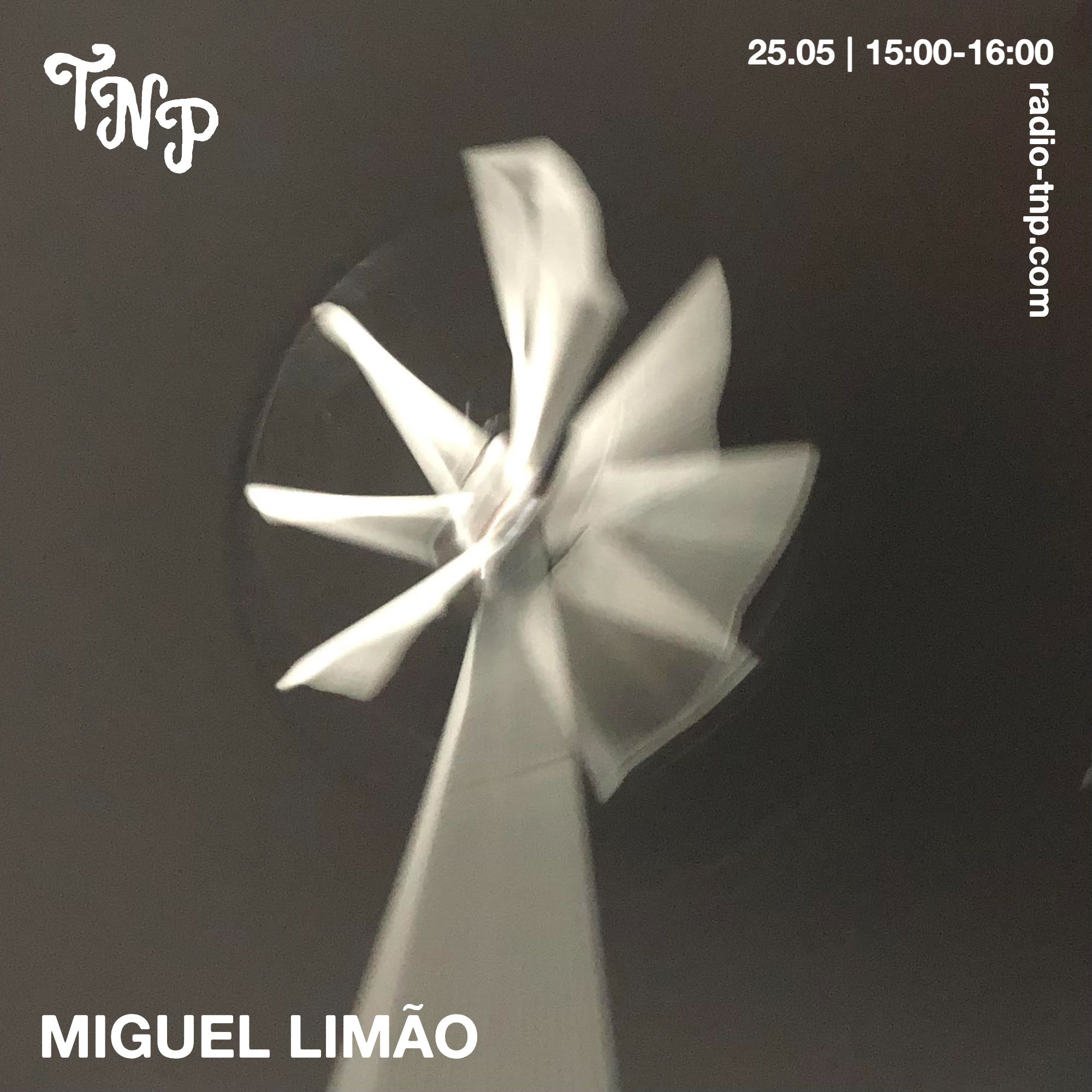 Miguel Limão