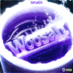 Hurricane Wisdom - WOOSAH (REMIX)