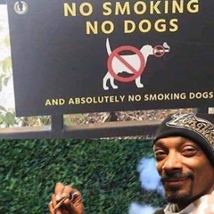 Seth - Snoop dogg