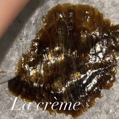 ENERVESTRE