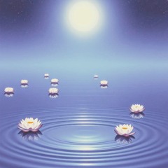 Hypnosis and the sleep