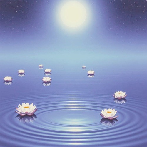 Hypnosis and the sleep
