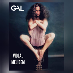 Gal Costa - VIOLA MEU BEM