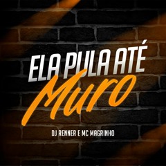 MC MAGRINHO - ELA PULA ATE MURO (DJ RENNER)