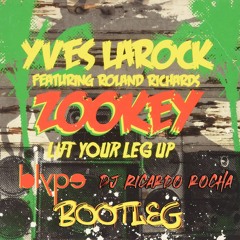 Yves Larock - Zookey (Dj Ricardo Rocha & Blype) Preview