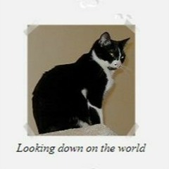 Looking down on the world with Mys