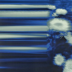 BLEU 99
