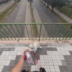 q me hace volar? prod kizer