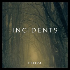 Incidents