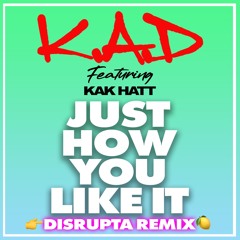 Just How You Like It (Disrupta Remix)