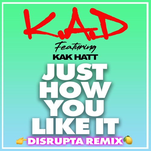 Just How You Like It (Disrupta Remix)