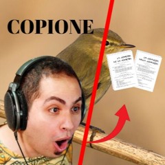 Il Grande Gilbert Feat. Young Pakirry