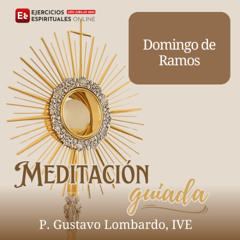 Meditacion guiada Domingo de Ramos P Gustavo Lombardo IVE