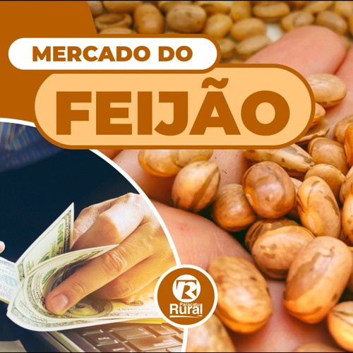 Mercado do FEIJÃO 18-05-2022