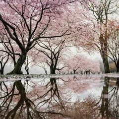 Shades Of April feat. Marko Smiljanic