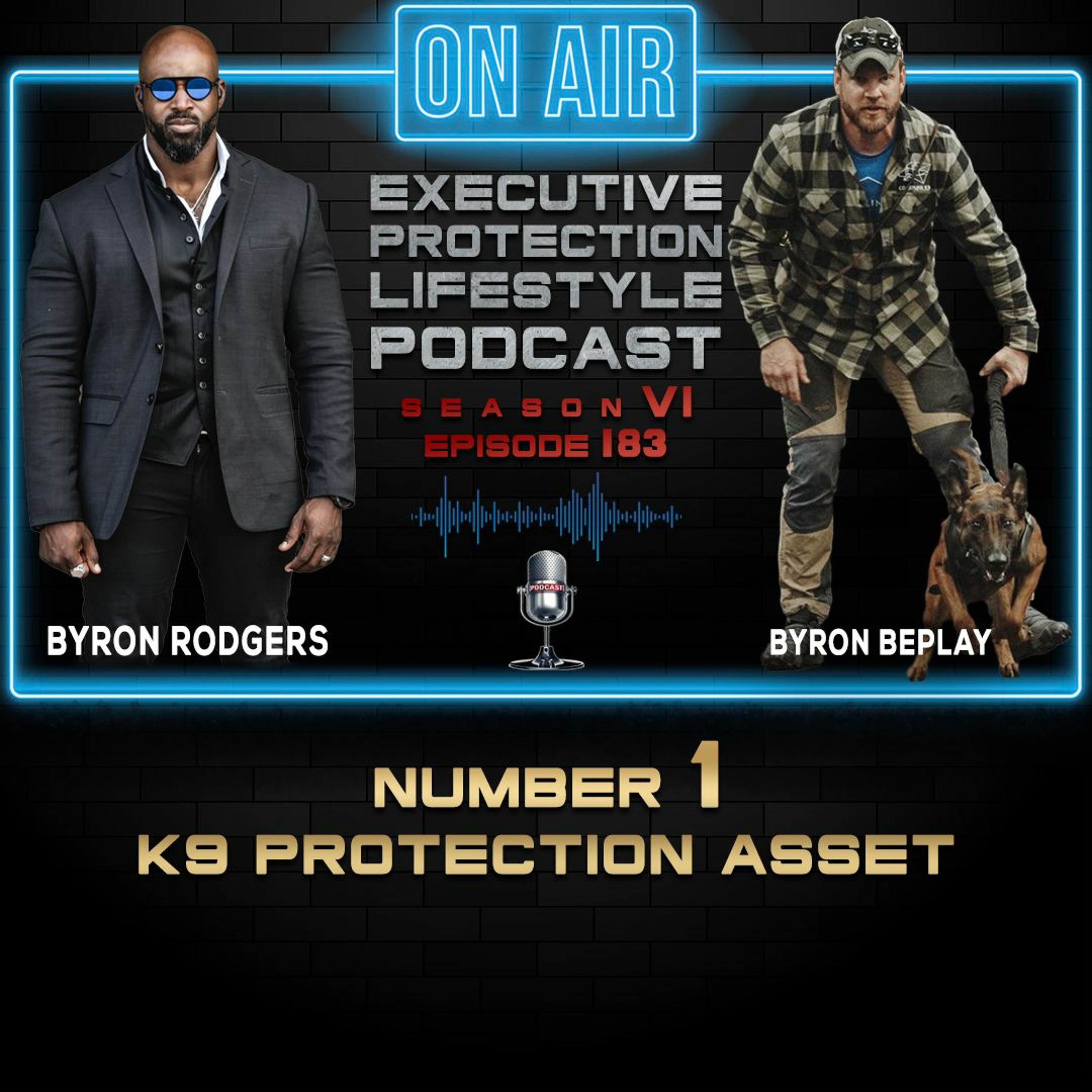 EXECUTIVE PROTECTION LIFESTYLE