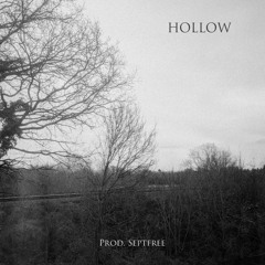 Hollow (prod. Septfree)