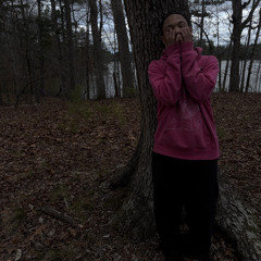 revenge ft djonn (prod aria1k)