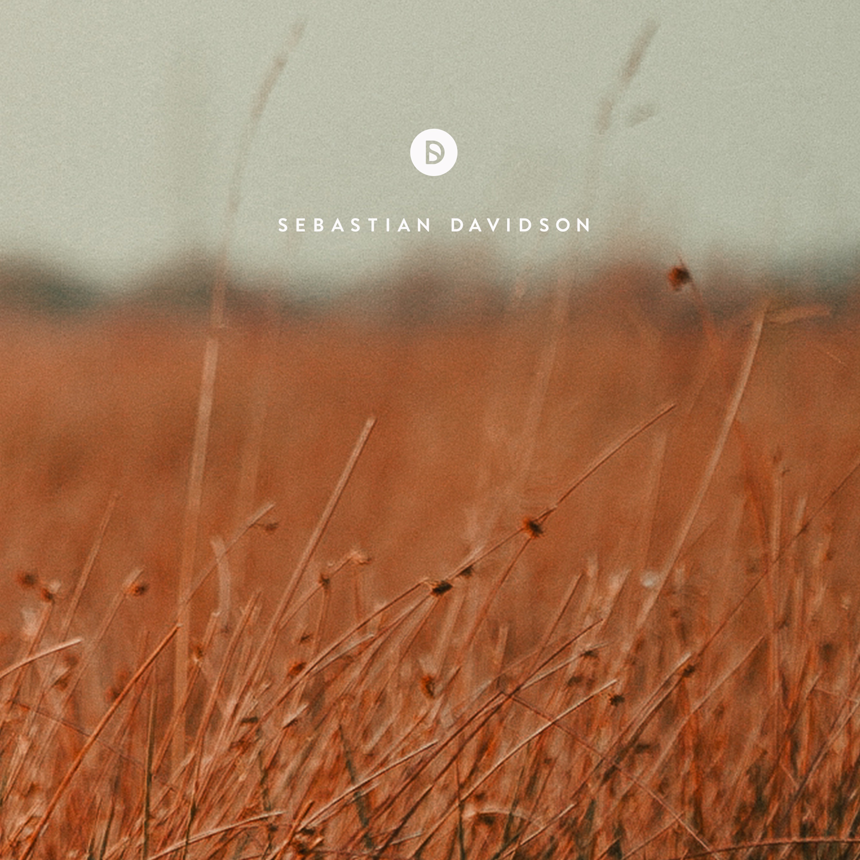 Voyage of Discovery by Sebastian Davidson