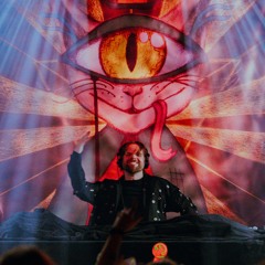 The Funky Cat #19 DAYTIME MASQUERAVE 🎭 all sets playlist