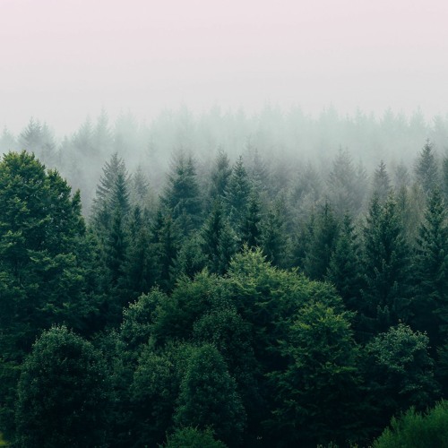 Và Ngày Nào Đó - Quang Trung x Vũ Thảo My (Slowed)