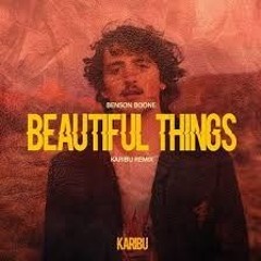 beatiful things