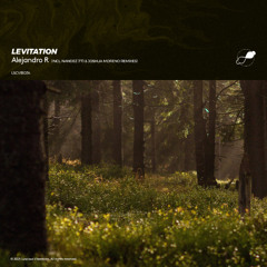 Alejandro R - Levitation (Joshua Moreno's Réorganisé Remix) [LSCVIB034]