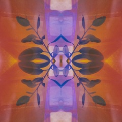 psy prog trance