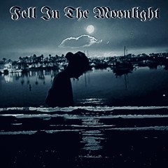 Fell In The Moonlight