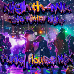 Nighth4wk - This Winter Night (Funky House Edit)
