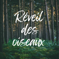 Réveil des oiseaux