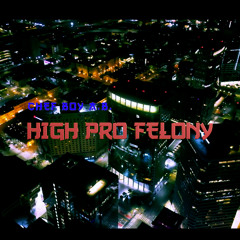 HIGH PRO FELONY