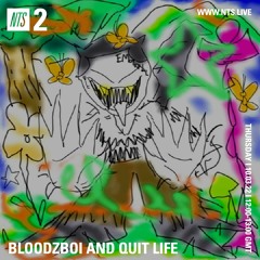 bloodz boi & quit life - nts radio show - 30 mins (10.03.22)