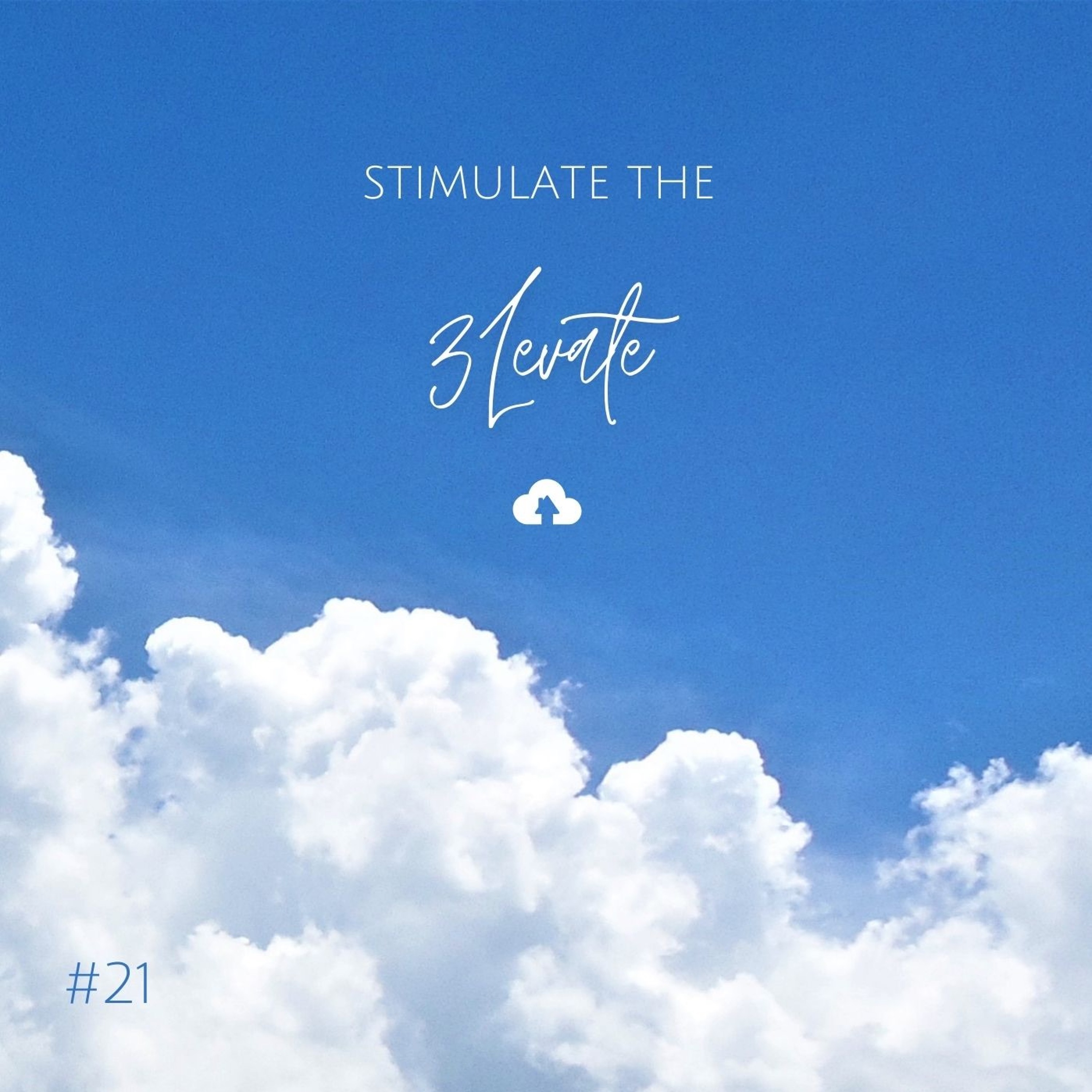 Stimulate The 3Levate #21 episode artwork