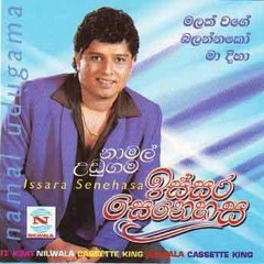 12.Nuwara_Wewata_Namal_Udugama