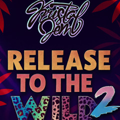 Release to the Wild 2025 Mix