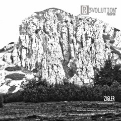 R3D075 ZIGLER - GRAVITATIONAL REPULSION EP  ***Preview***
