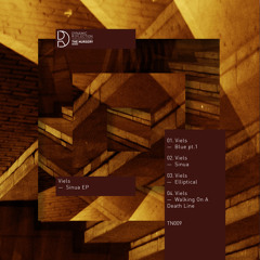 Walking On A Death Line (Original Mix)