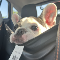 sometimes i want 2 die