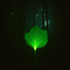 KRATOM TRUTH