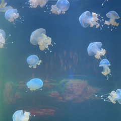 Sweet Blue
