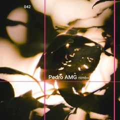 Pfast 042 - Pedro AMG