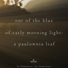 Early Morning Light - naviarhaiku 583